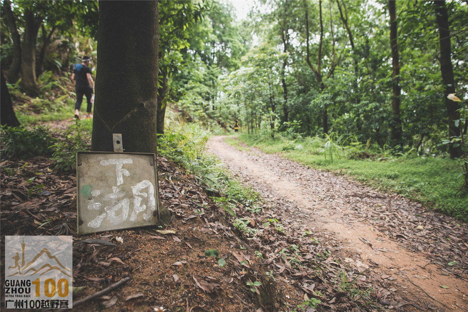 2019广州100越野赛0503 (254)