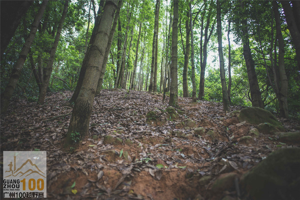 2019广州100越野赛0503 (259)