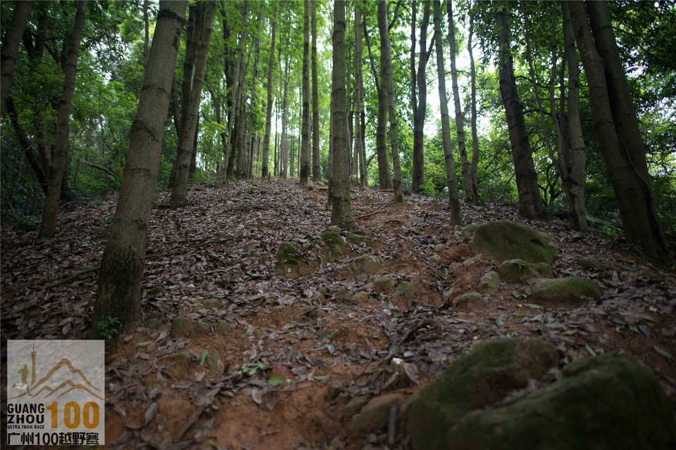 2019广州100越野赛0503 (260)