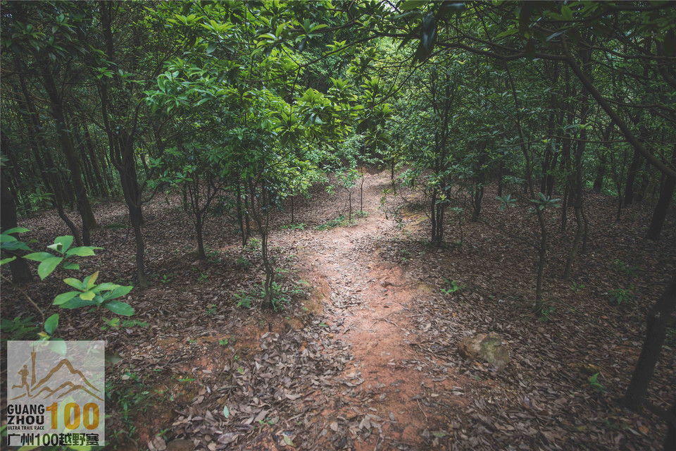 2019广州100越野赛0503 (269)