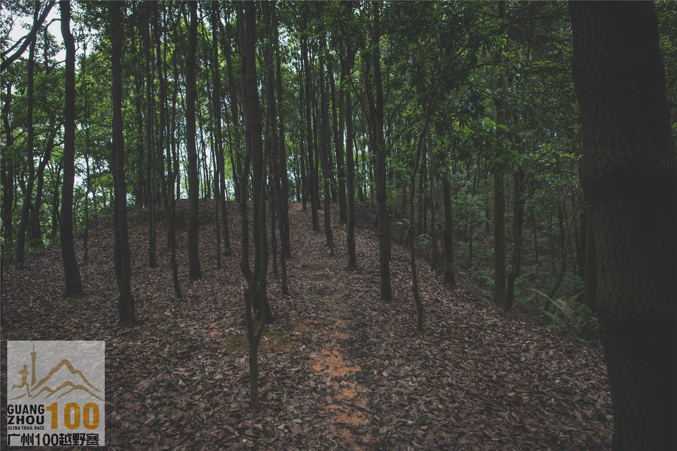 2019广州100越野赛0503 (270)