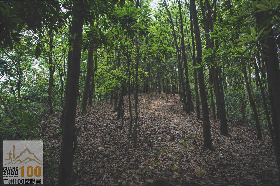 2019广州100越野赛0503 (271)