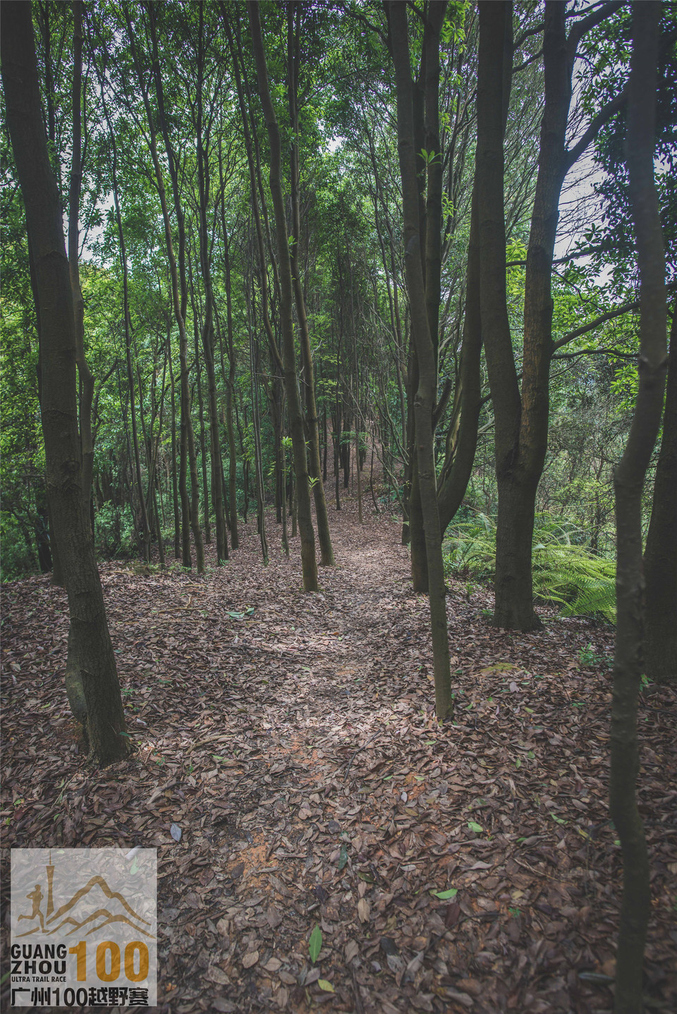 2019广州100越野赛0503 (272)