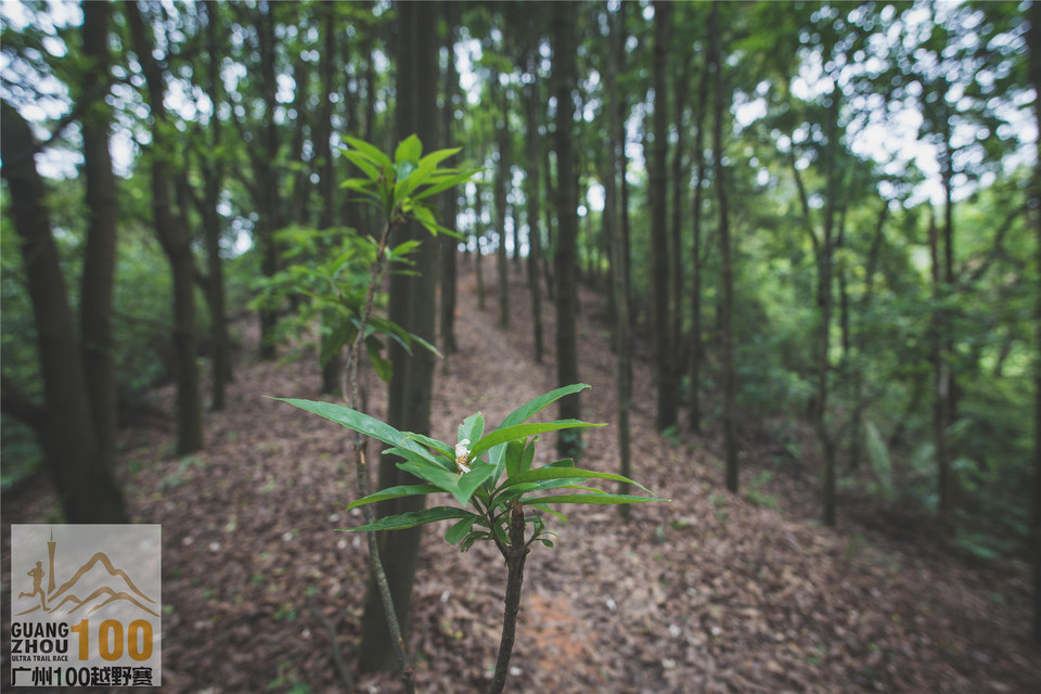 2019广州100越野赛0503 (273)