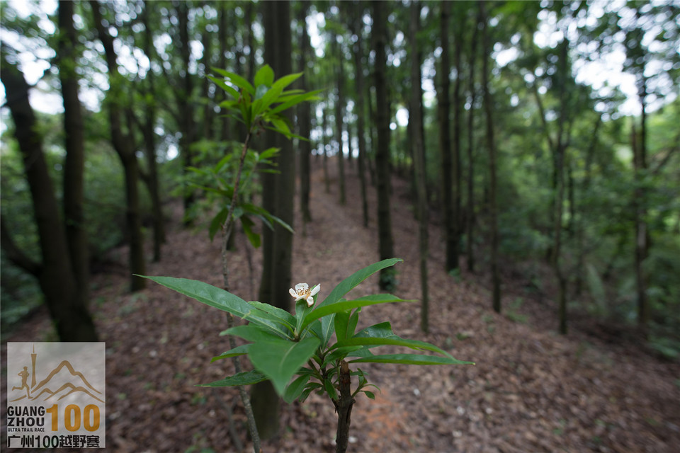 2019广州100越野赛0503 (274)