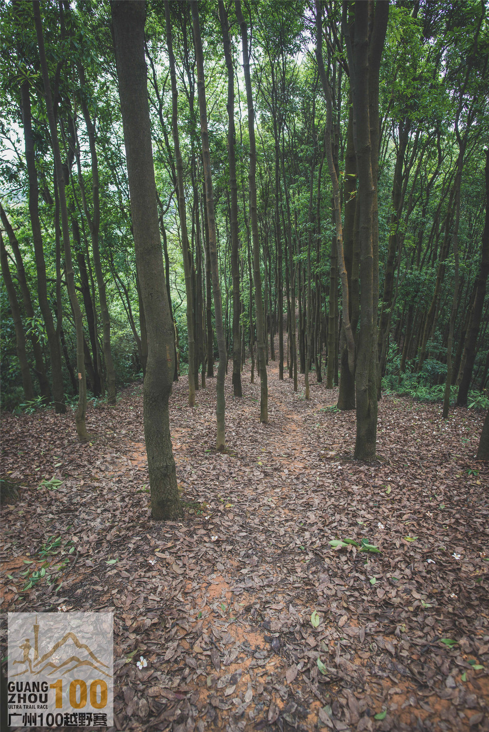 2019广州100越野赛0503 (275)