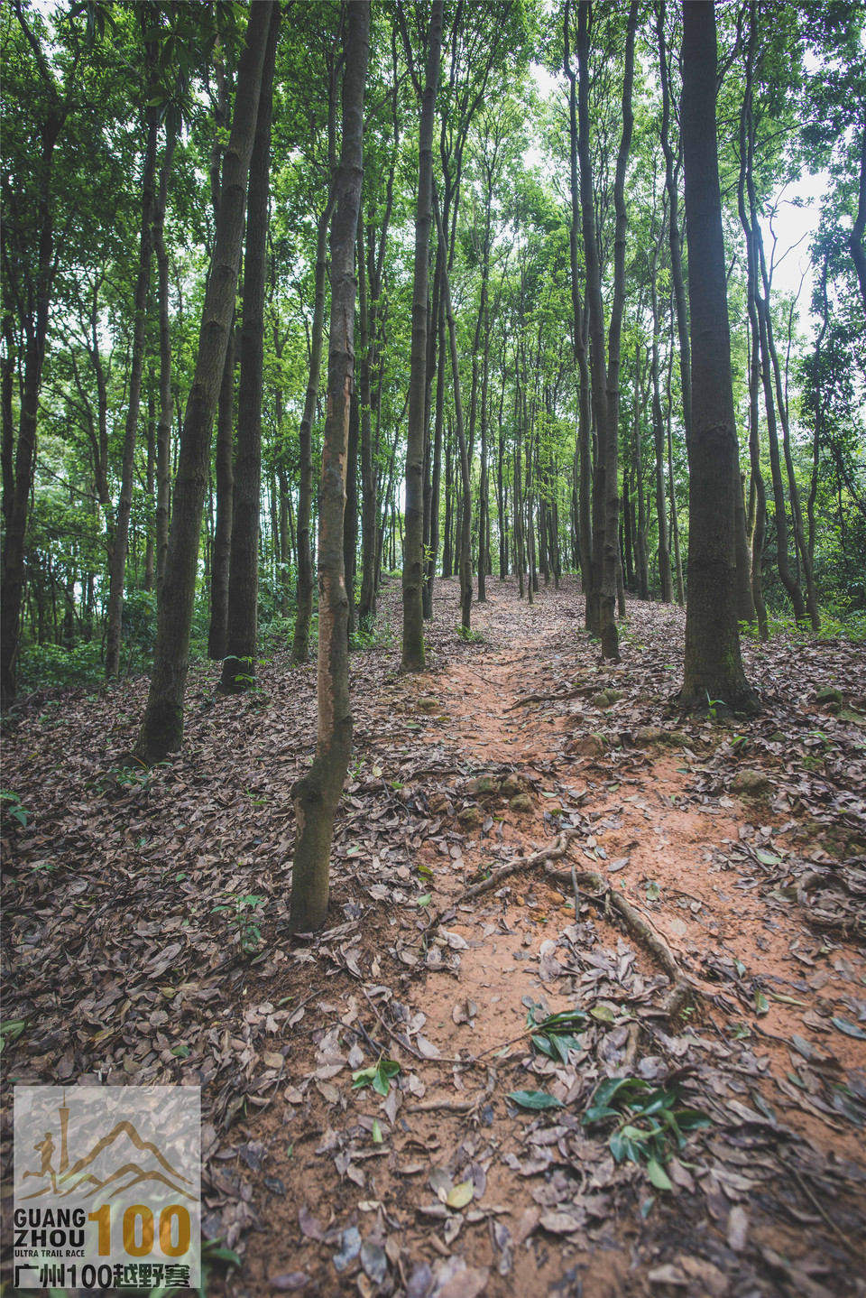 2019广州100越野赛0503 (276)