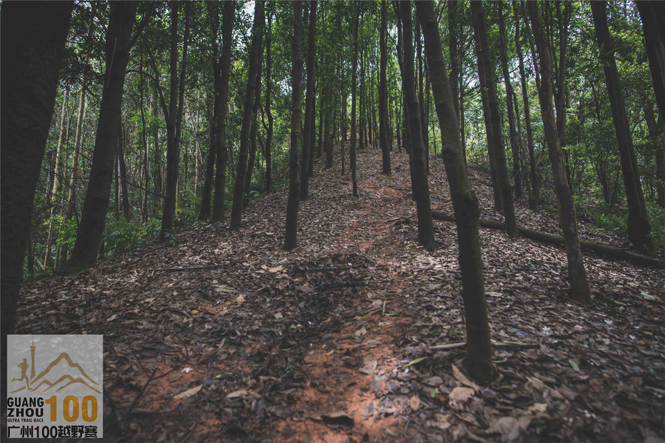 2019广州100越野赛0503 (278)