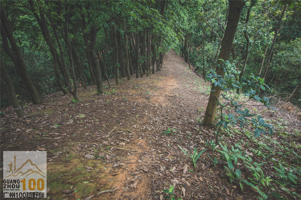 2019广州100越野赛0503 (279)