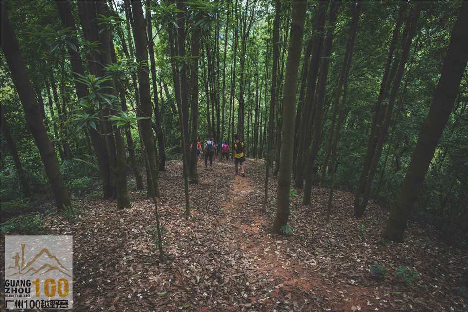 2019广州100越野赛0503 (281)
