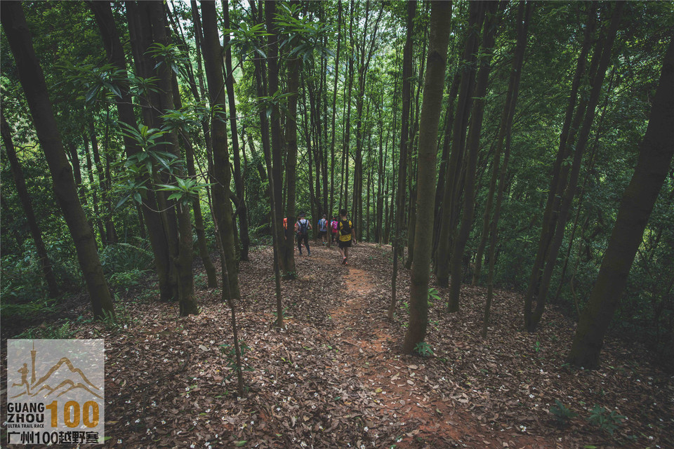 2019广州100越野赛0503 (282)
