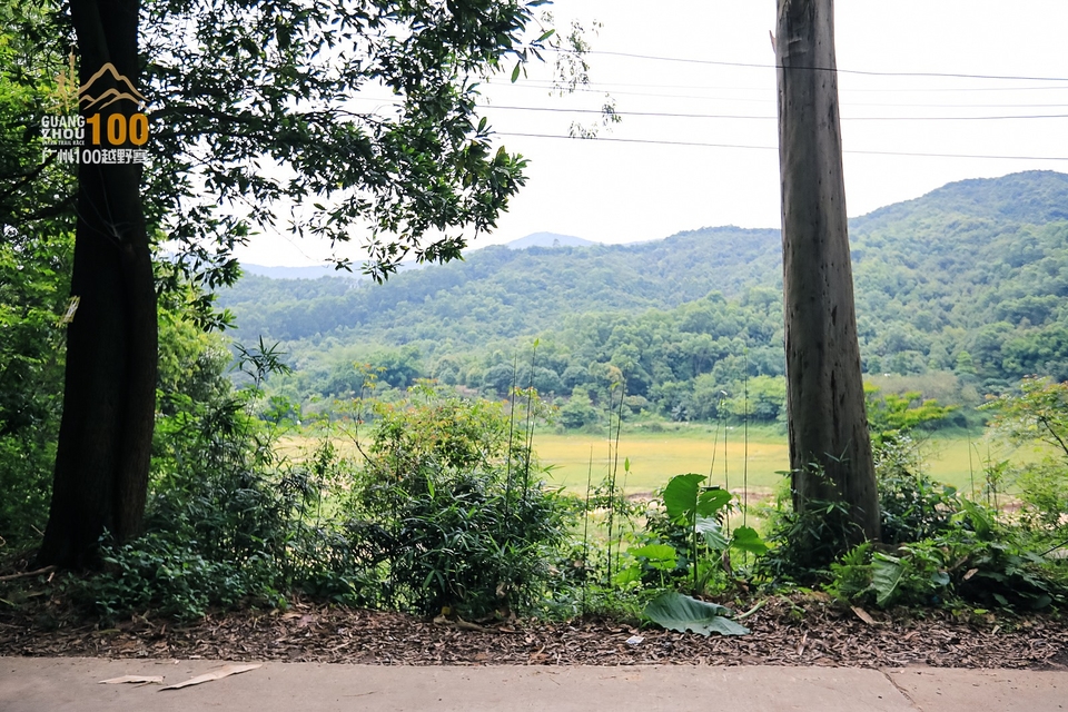 广州100越野赛0503_A (56)