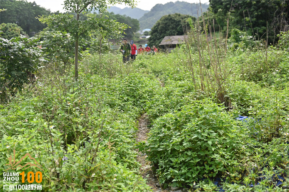 广州100越野赛_B (88)
