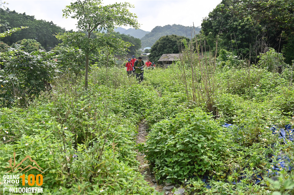 广州100越野赛_B (89)