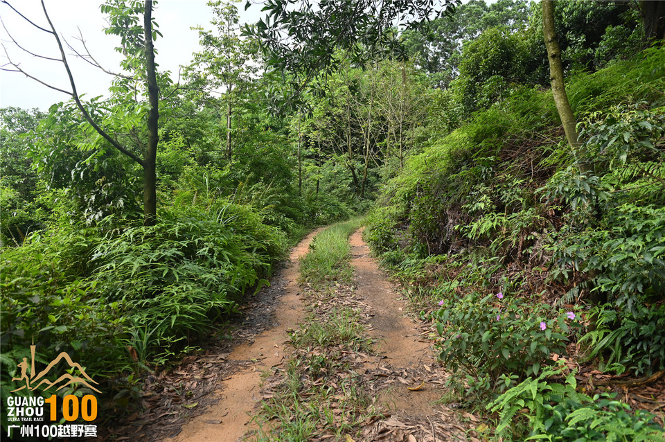 广州100越野赛_B (92)