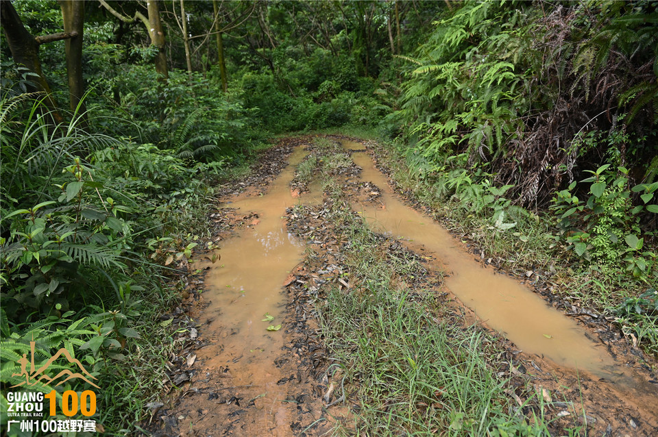 广州100越野赛_B (93)