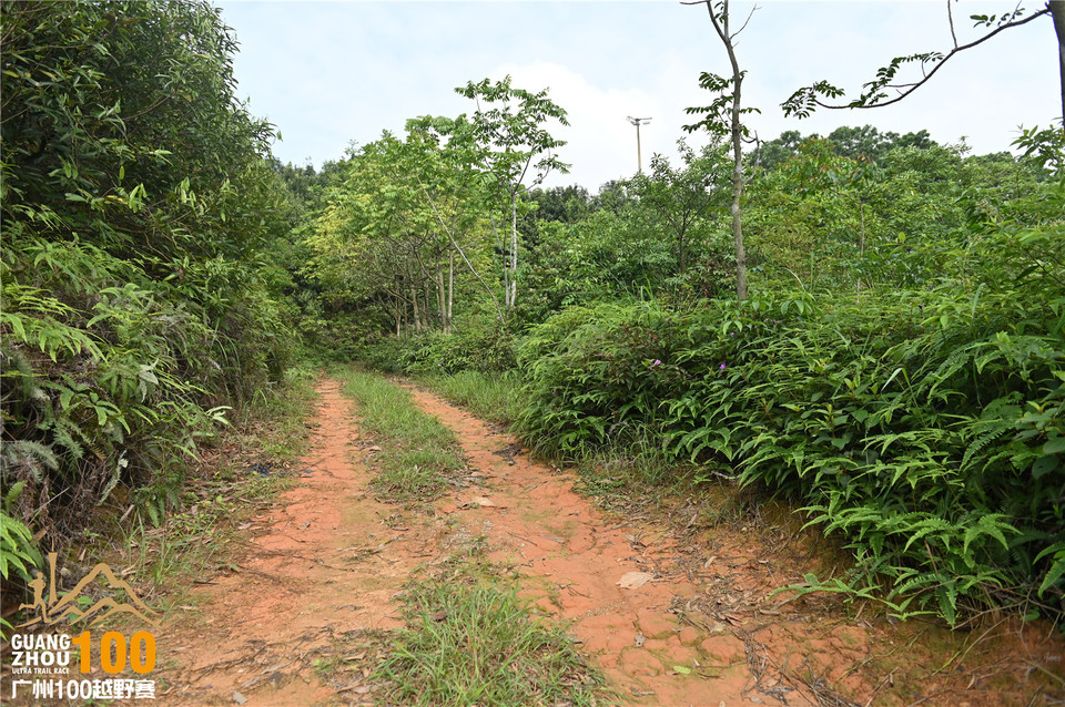 广州100越野赛_B (94)