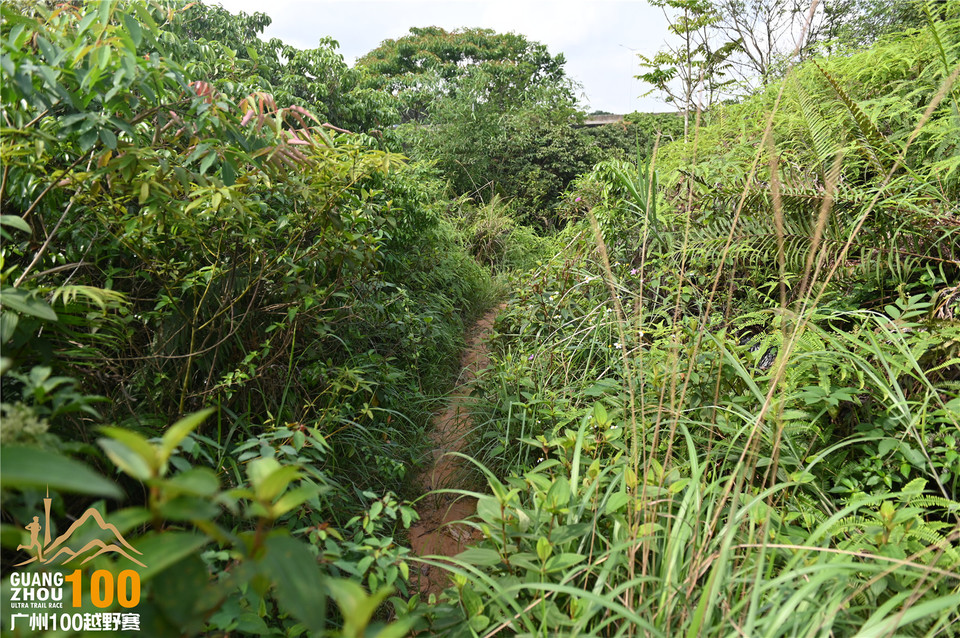 广州100越野赛_B (96)