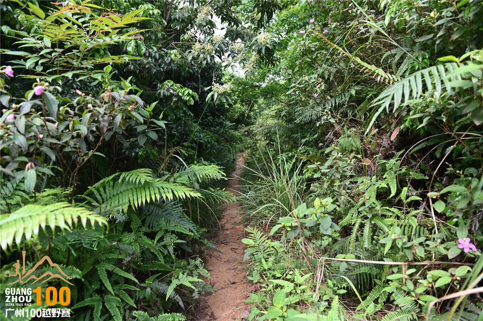 广州100越野赛_B (97)