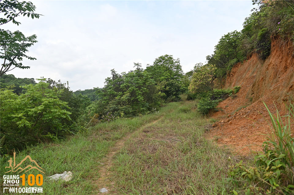 广州100越野赛_B (98)