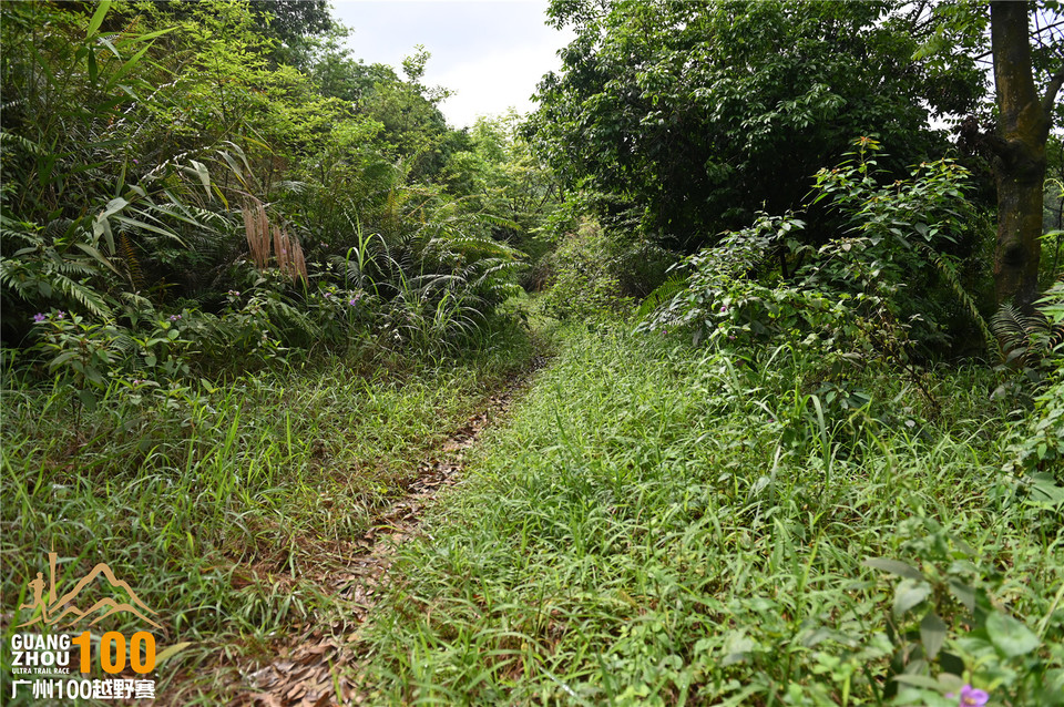 广州100越野赛_B (99)