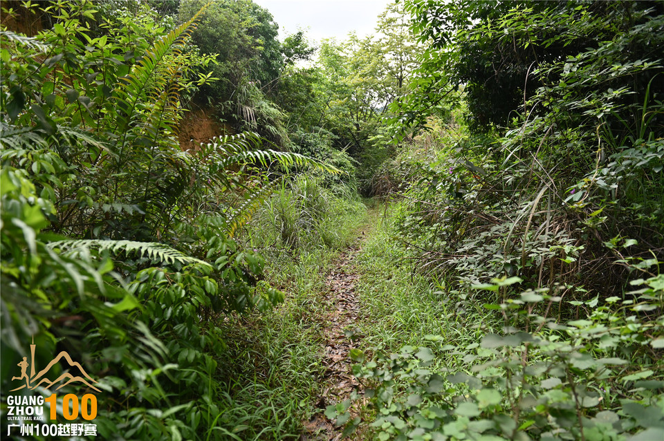 广州100越野赛_B (100)