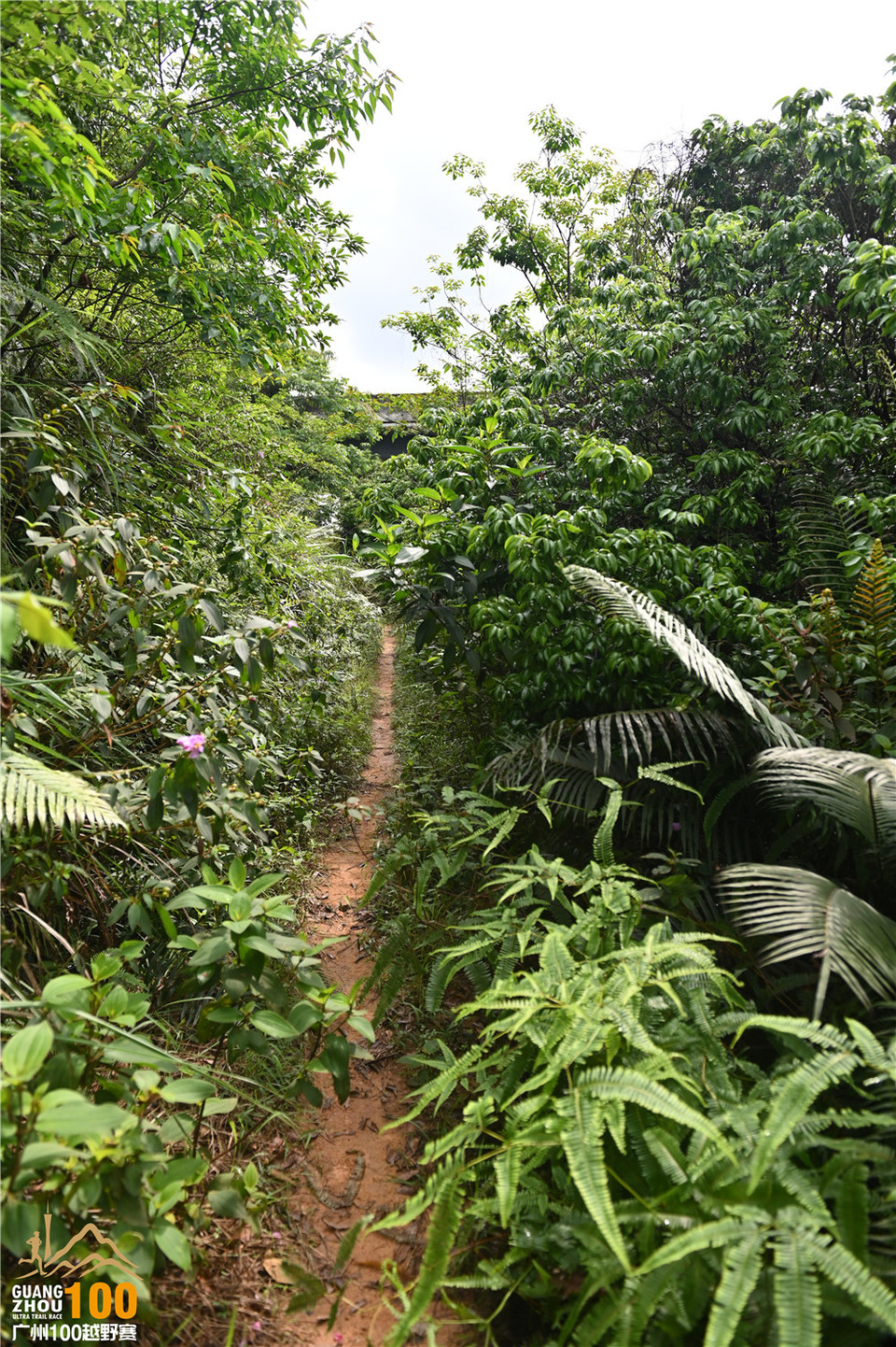 广州100越野赛_B (101)