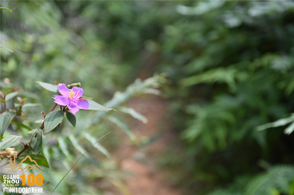 广州100越野赛_B (102)
