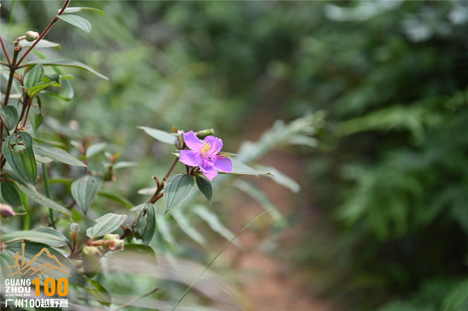 广州100越野赛_B (103)