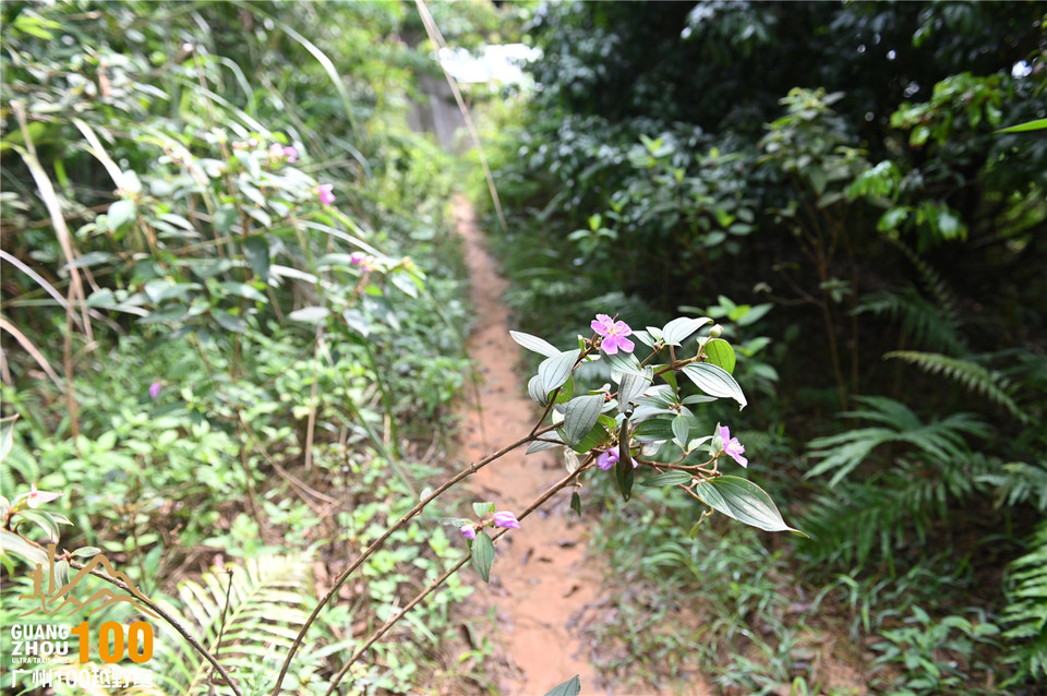 广州100越野赛_B (104)