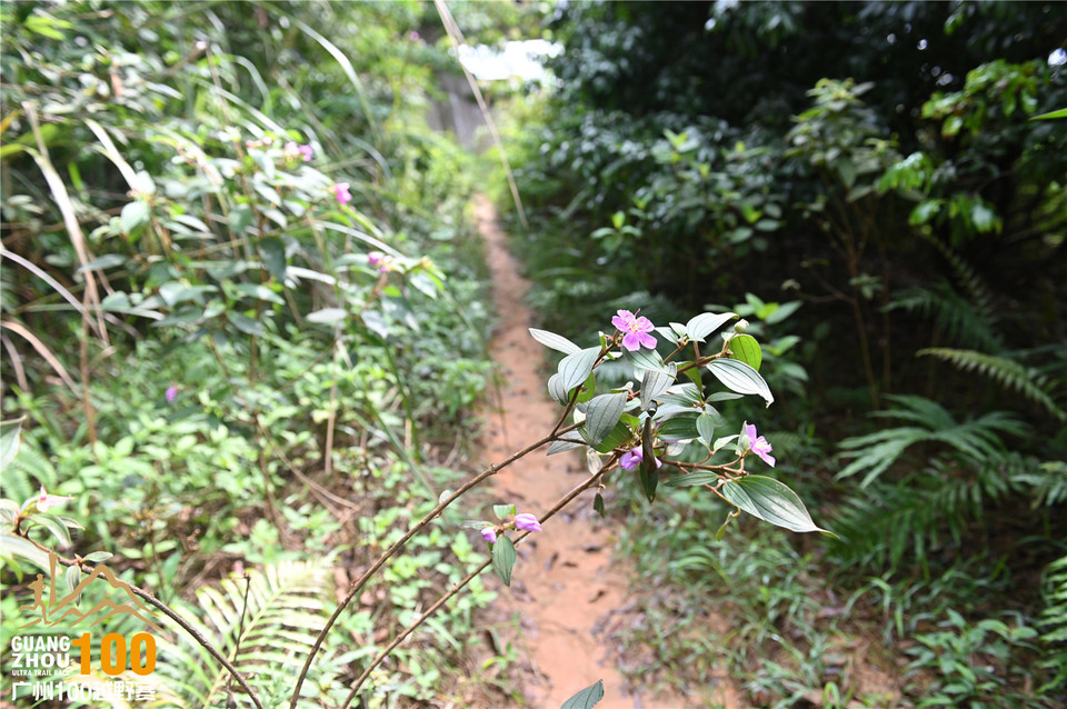 广州100越野赛_B (105)