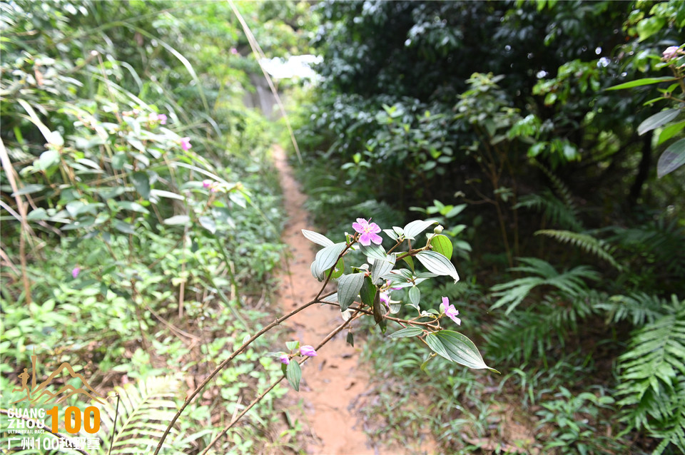 广州100越野赛_B (107)