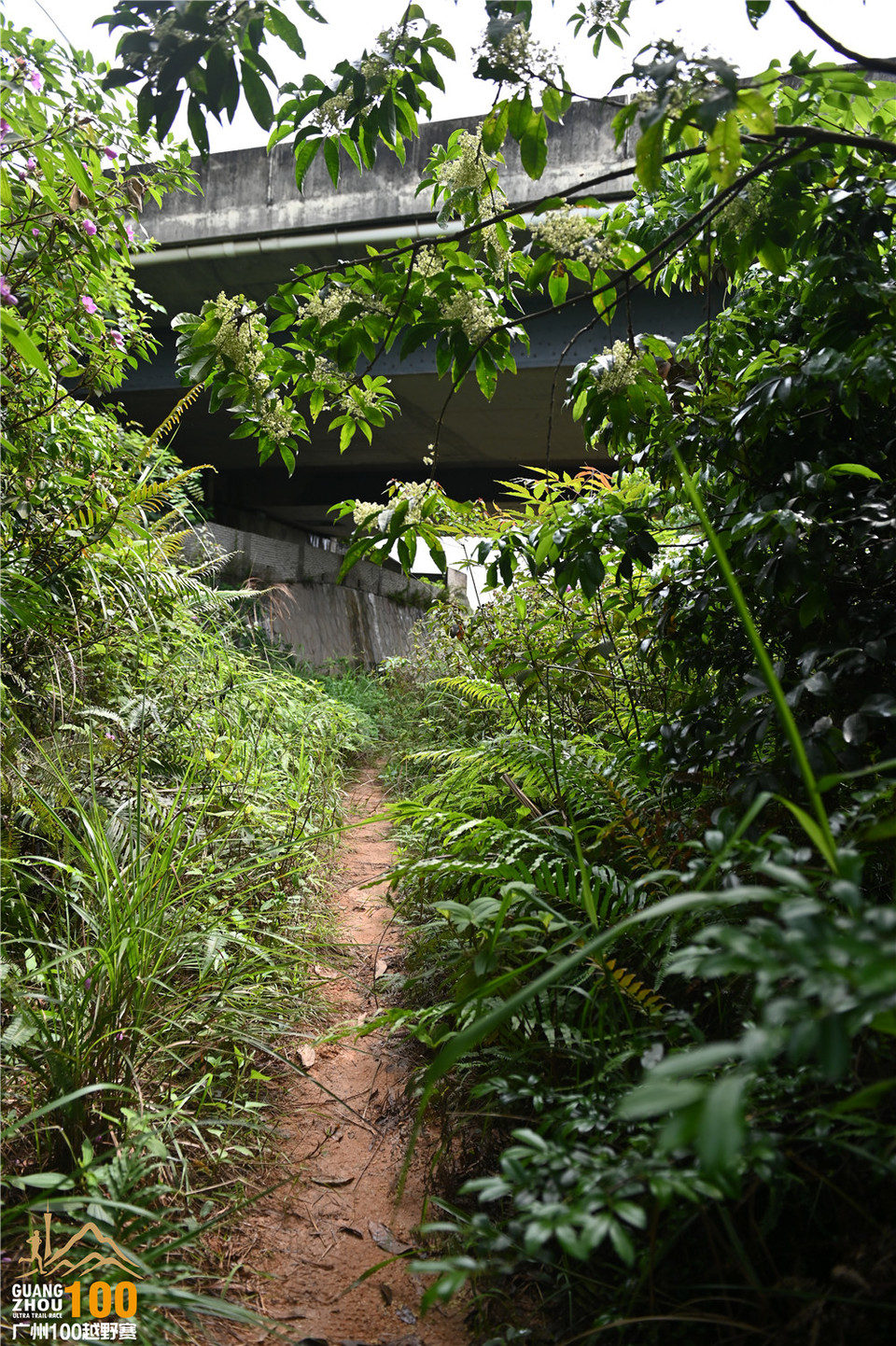 广州100越野赛_B (108)