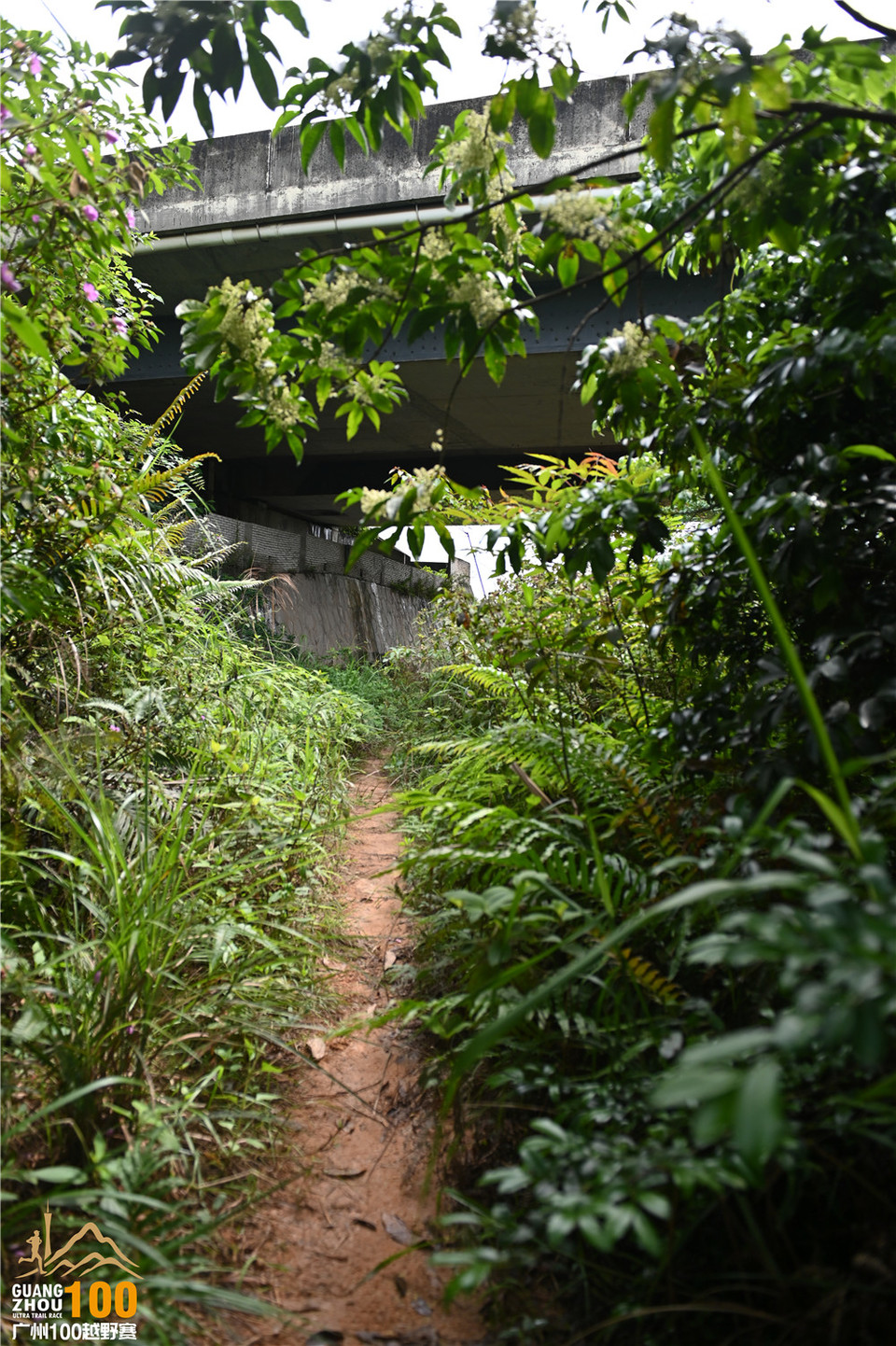 广州100越野赛_B (109)