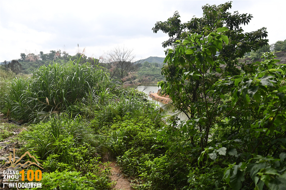 广州100越野赛_B (112)