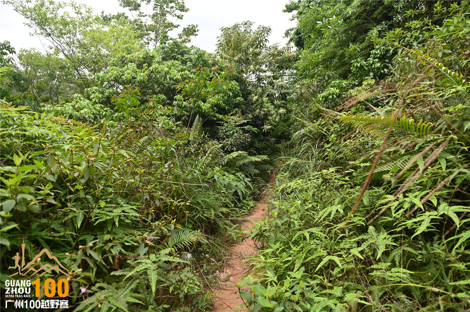 广州100越野赛_B (113)