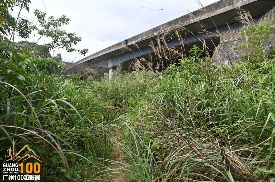 广州100越野赛_B (114)