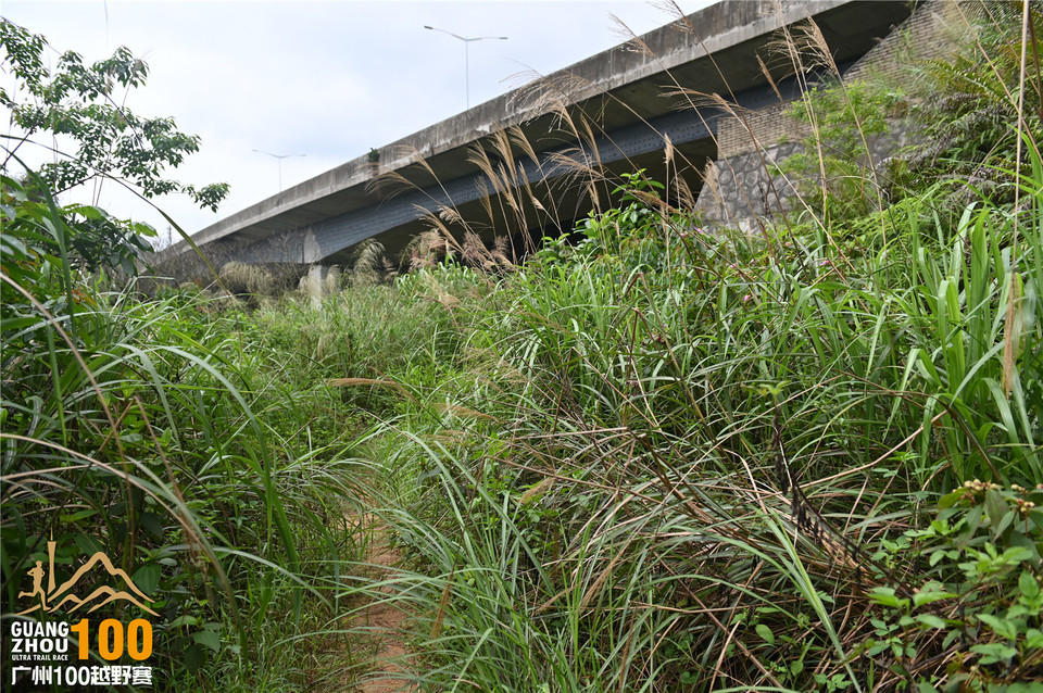 广州100越野赛_B (115)