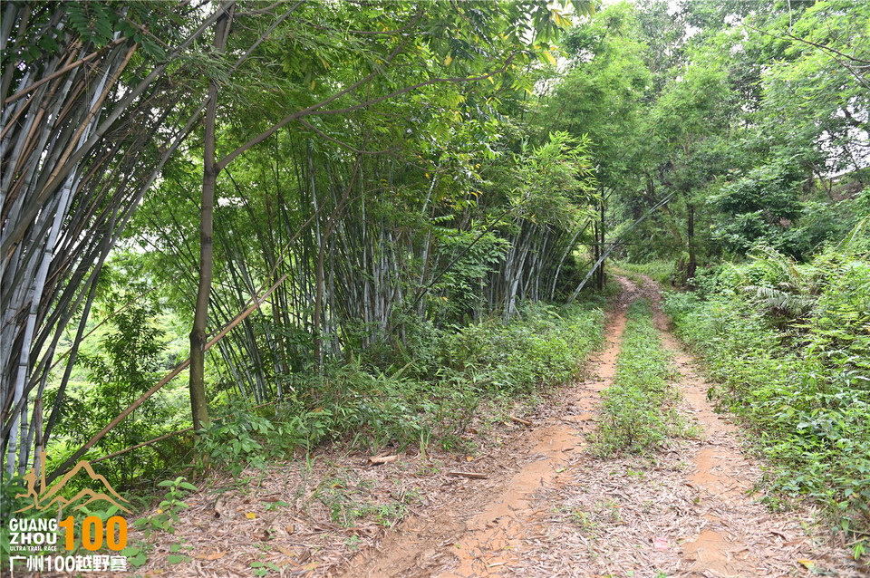 广州100越野赛_B (154)