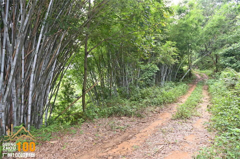 广州100越野赛_B (155)