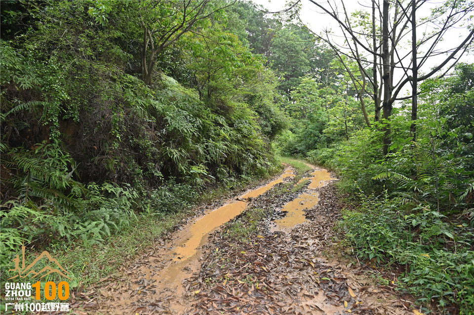 广州100越野赛_B (156)