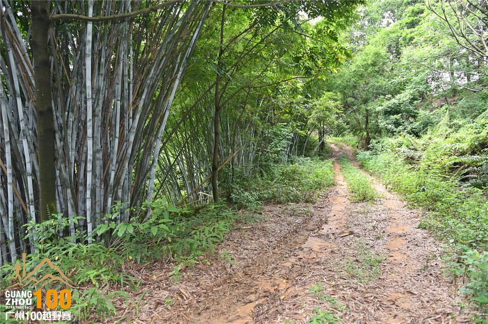 广州100越野赛_B (161)