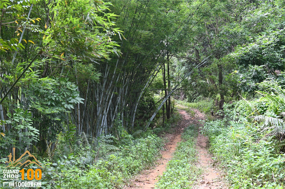 广州100越野赛_B (162)