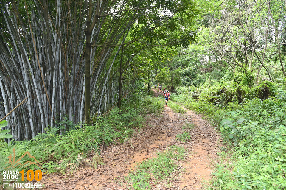 广州100越野赛_B (163)