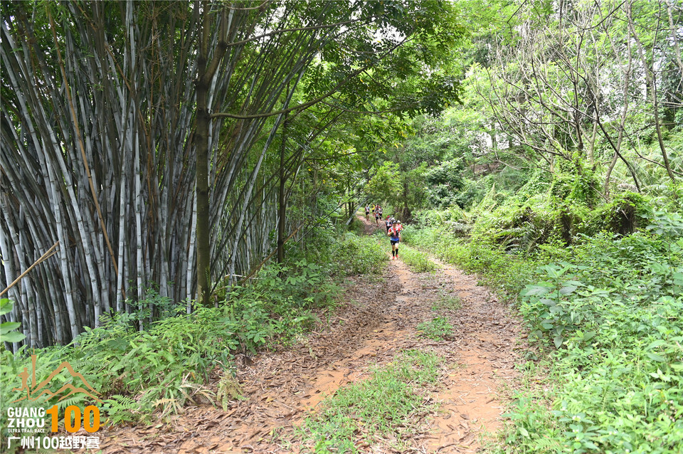 广州100越野赛_B (164)
