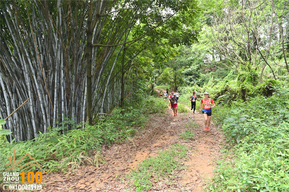 广州100越野赛_B (167)