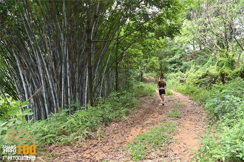 广州100越野赛_B (184)