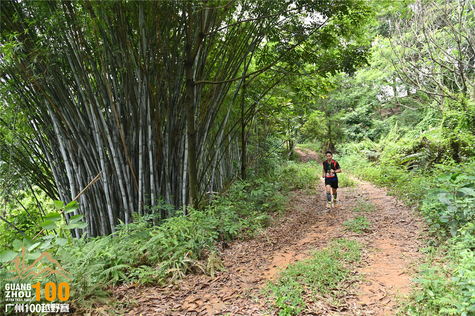 广州100越野赛_B (185)