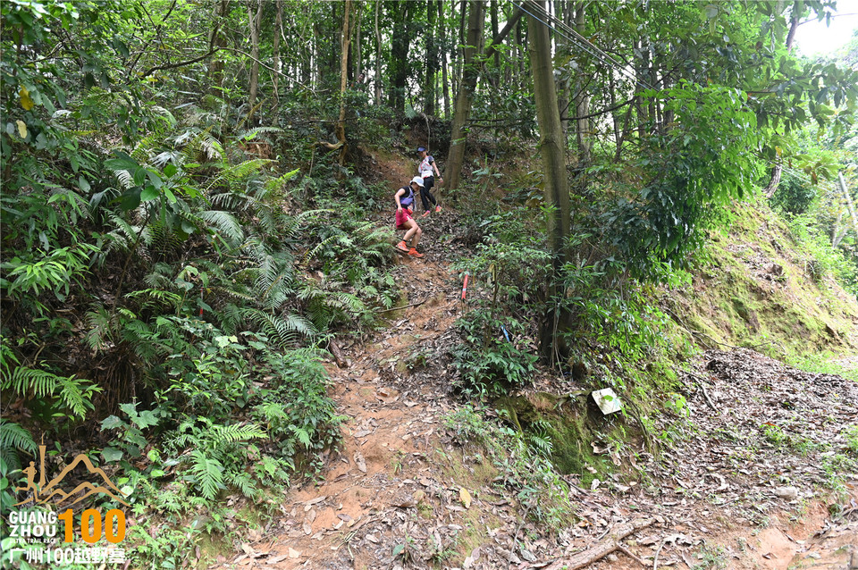 广州100越野赛_B (294)