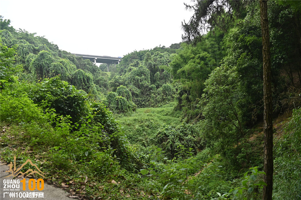 广州100越野赛_B (299)